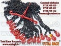 DISPOZITIV LANT DE ANCORARE 10 mm 6,3 tone  